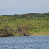  Arusha NP, TZ